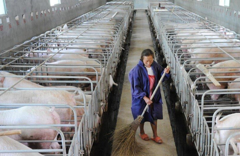 畜牧污水處理設備哪家好，養殖污水處理設備哪家好