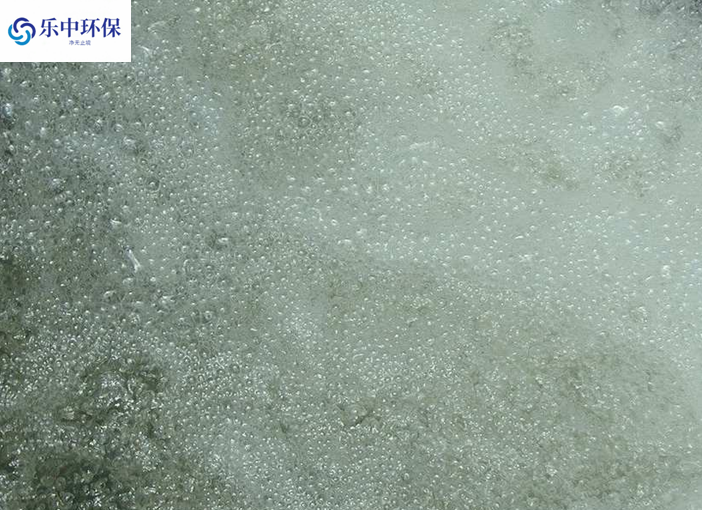 溶氣氣浮機(jī)泡沫多什么原因？如何解決？