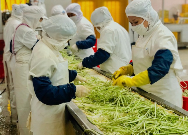 三種食品污水處理設備工藝流程，看看哪種適合您？